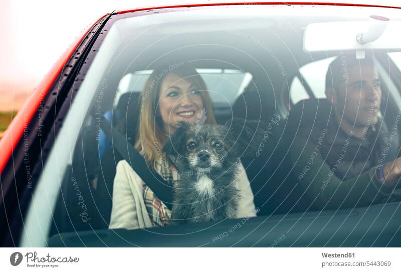 Glückliches Paar mit kleinem Hund im Auto Hunde Wagen PKWs Automobil Autos Pärchen Paare Partnerschaft fahren fahrend fahrender fahrendes lächeln Haustier