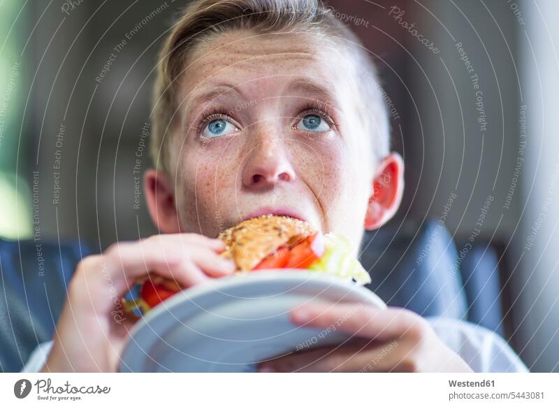 Junge isst Sandwhich Zuhause zu Hause daheim Sandwich Sandwiches essen essend Brot Brote Essen Food Food and Drink Lebensmittel Essen und Trinken Nahrungsmittel