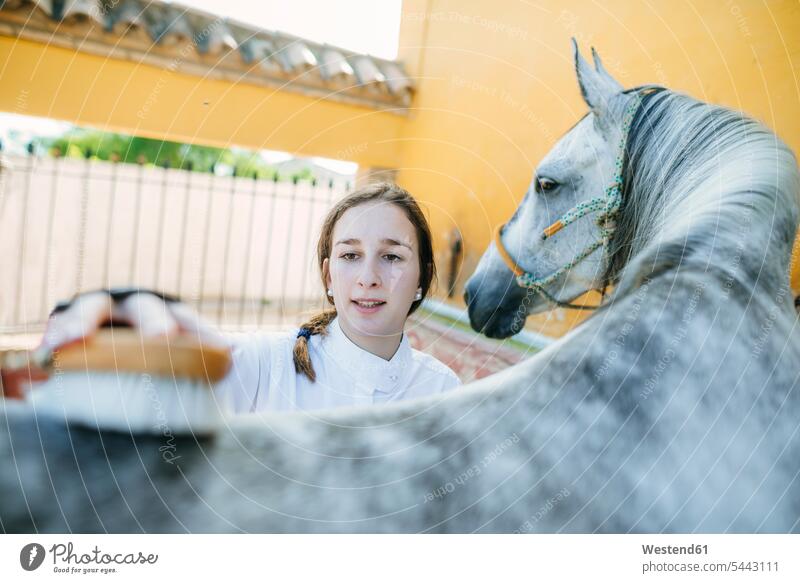 Porträt einer jungen Frau, die einen Pferderücken pflegt weiblich Frauen striegeln Portrait Porträts Portraits Equus caballus Erwachsener erwachsen Mensch