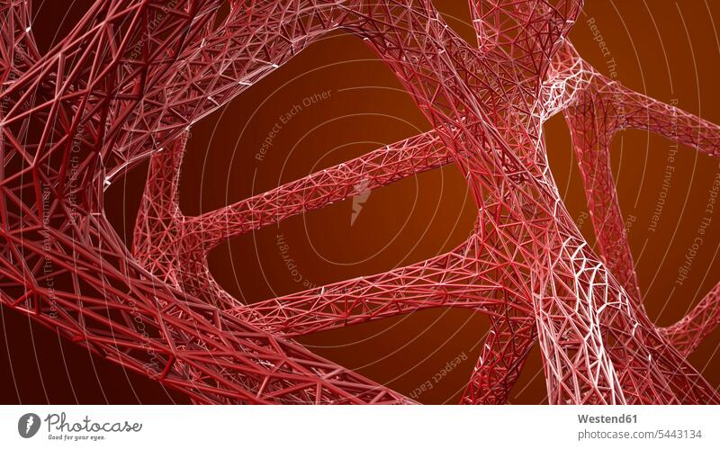 Abstrakte organische Gitterstruktur in Rot, 3D-Darstellung Technik Techniken Technologie Vernetzung Networking Ausschnitt Teil Teilansicht Teilabschnitt