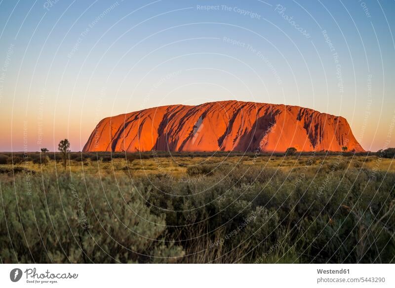 Australien, Nordterritorium, Uluu Felsformation Felsengruppe Gesteinsformation Reise Travel UNESCO-Weltkulturerbe UNESCO Weltkulturerbe Welterbe Landschaft