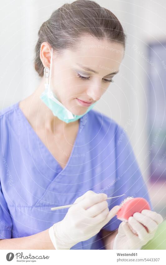 Zahntechniker, der beim Zahnabdruck arbeitet Gebissabdruck arbeiten Arbeit Frau weiblich Frauen Zahntechnikerin Zahntechnikerinnen Erwachsener erwachsen Mensch