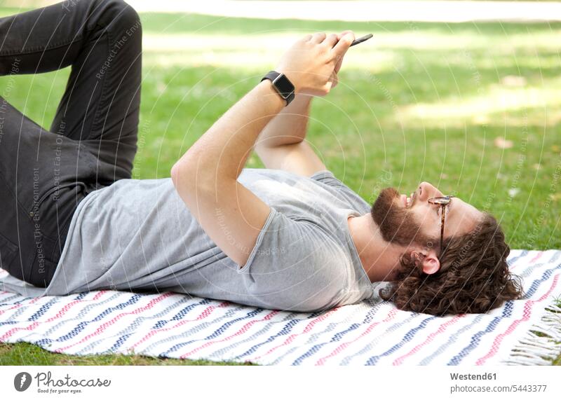 Mann liegt auf einer Decke in einem Park und benutzt ein Mobiltelefon Männer männlich Smartphone iPhone Smartphones Erwachsener erwachsen Mensch Menschen Leute