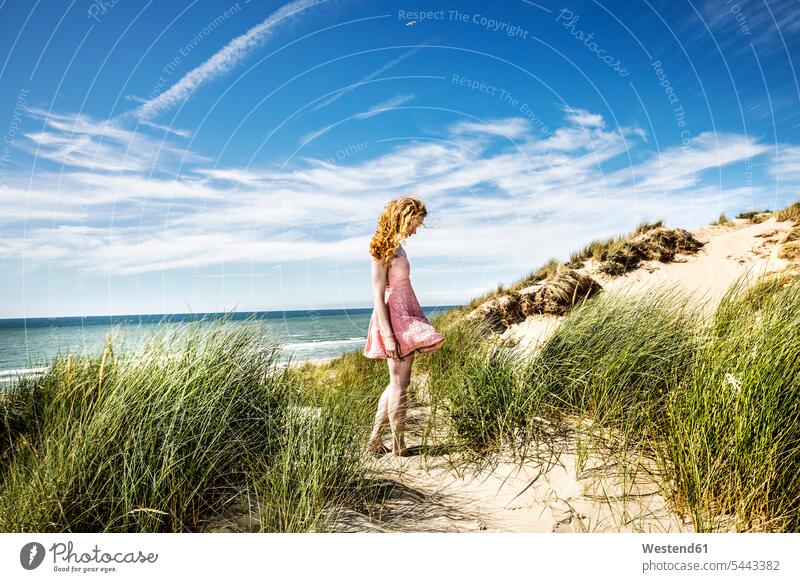 Niederlande, Zandvoort, Frau in den Dünen stehend Sanddüne Sanddünen Strand Beach Straende Strände Beaches weiblich Frauen steht Duenen Erwachsener erwachsen