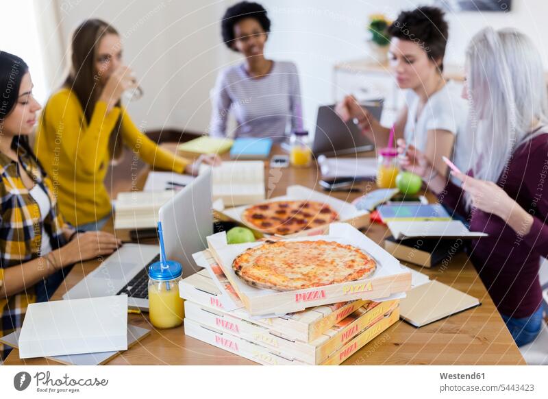 Gruppe junger Frauen, die zu Hause studieren und Pizza essen Pizzen Zuhause daheim weiblich Studentin Studentinnen Hochschülerin Hochschülerinnen