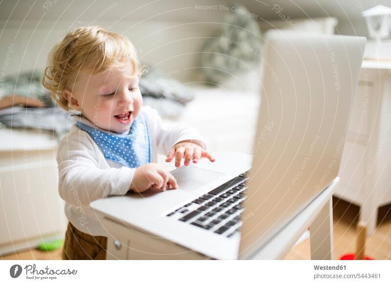 Kleiner Junge spielt zu Hause mit Laptop Notebook Laptops Notebooks spielen Computer Rechner Zuhause daheim Europäer Kaukasier Europäisch kaukasisch Verbindung