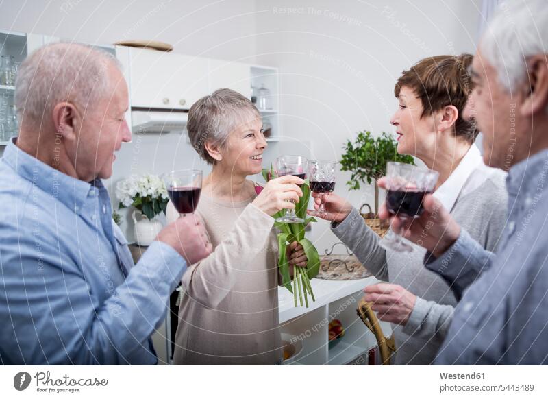 Zwei ältere Paare feiern und stoßen mit Rotwein an trinken anstoßen zuprosten anstossen Senioren alte Rotweine glücklich Glück glücklich sein glücklichsein