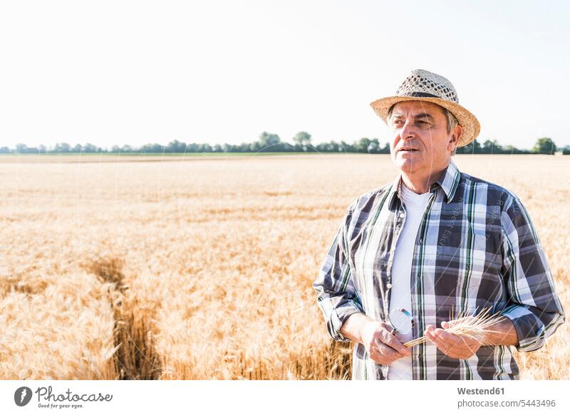 Porträt eines nachdenklichen Senior-Landwirts auf einem Feld Bauer Landwirte Bauern Landwirtschaft betrachten betrachtend Felder nachdenken überlegen ernst