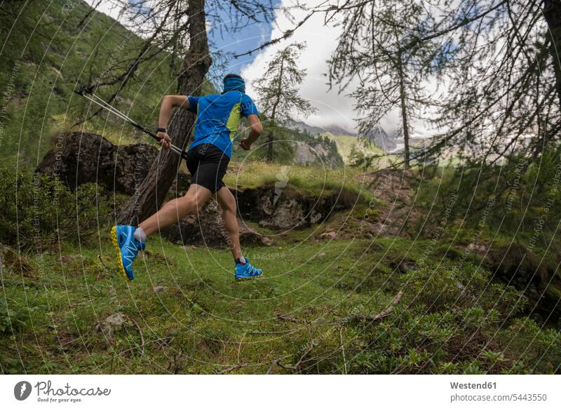Italien, Alagna, Trailrunner im Wald unterwegs Sportler Forst Wälder Mann Männer männlich laufen rennen Berg Berge Erwachsener erwachsen Mensch Menschen Leute