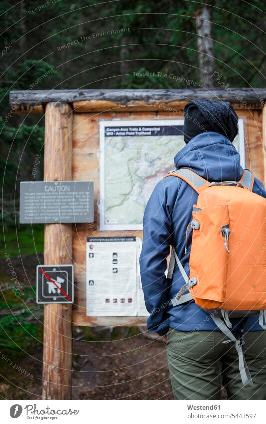 USA, Wyoming, Yellowstone-Nationalpark, Mann steht vor einer Informationstafel Wald Forst Wälder Tafel Schild Wanderer Männer männlich wandern Wanderung