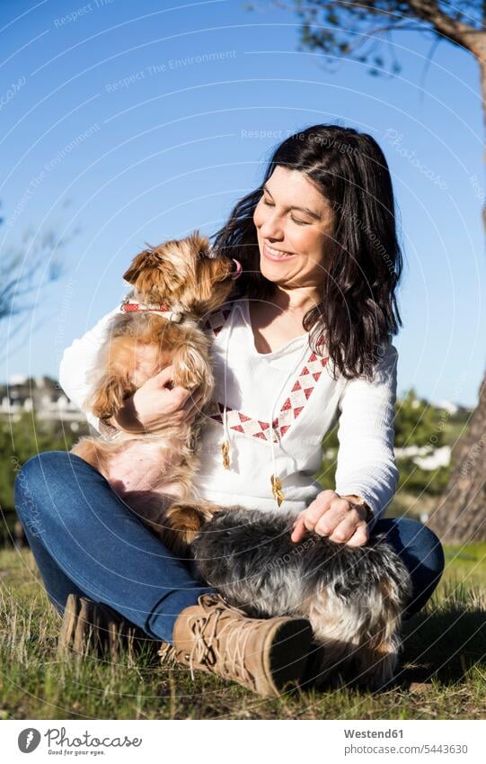 Glückliche junge Frau mit ihren Yorkshire Terriern auf einer Wiese weiblich Frauen Hund Hunde Erwachsener erwachsen Mensch Menschen Leute People Personen