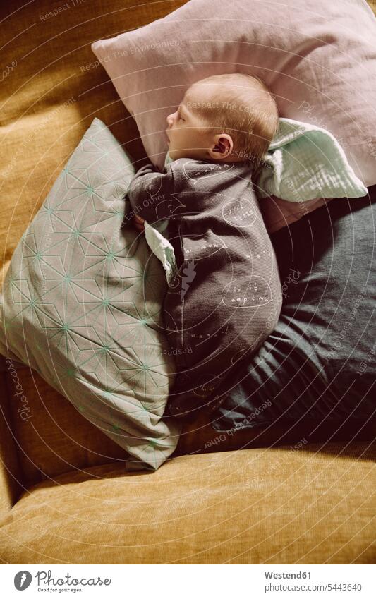 Neugeborenes Baby liegt und schläft auf der Couch zwischen Kissen Polster Babies Babys Saeugling Saeuglinge Säuglinge Kind Kinder liegen liegend schlafen