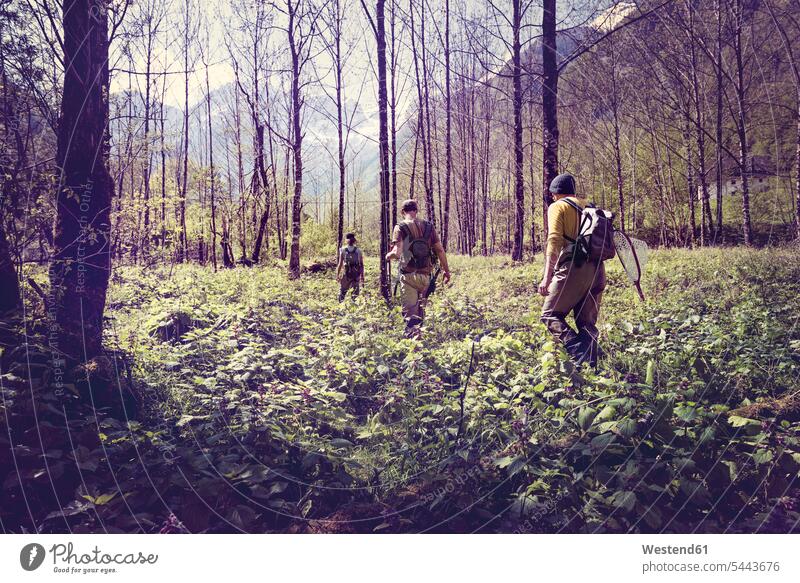 Slowenien, Bovec, drei Angler zu Fuß im Wald in Richtung Soca-Fluss Forst Wälder wandern Wanderung Freunde gehen gehend geht Mann Männer männlich Freundschaft