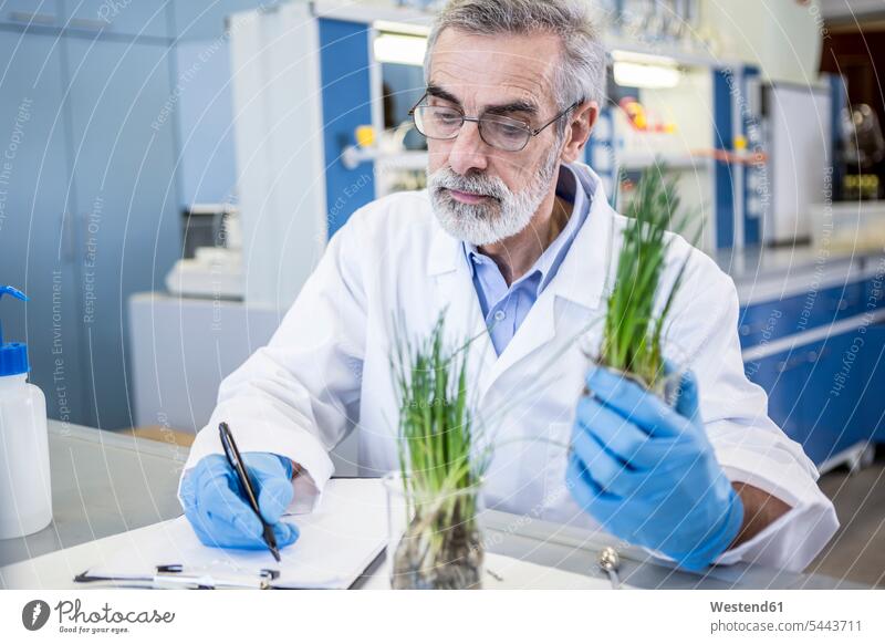 Wissenschaftlerin im Labor untersucht Pflanze und macht sich Notizen Pflanzenwelt Flora wissenschaftlich Wissenschaften Labore notieren Arbeitsplatz