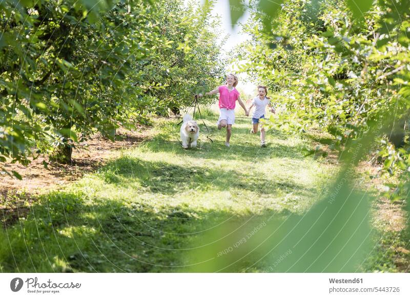 Zwei glückliche Schwestern rennen mit Hund auf der Wiese Hunde Wiesen Glück glücklich sein glücklichsein laufen Garten Gärten Gaerten Mädchen weiblich Haustier