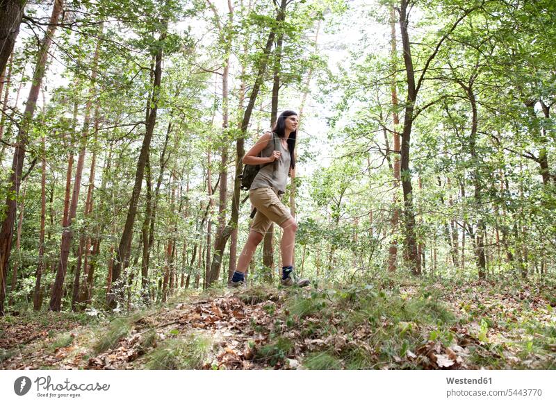 Junge Frau mit Rucksack auf einer Wanderung im Wald Forst Wälder wandern weiblich Frauen Erwachsener erwachsen Mensch Menschen Leute People Personen Natur Eifel