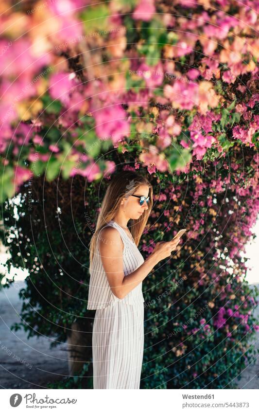 Frau benutzt Mobiltelefon im Park unter rosa Blüten Handy Handies Handys Mobiltelefone blühen erblühen blühend weiblich Frauen Telefon telefonieren