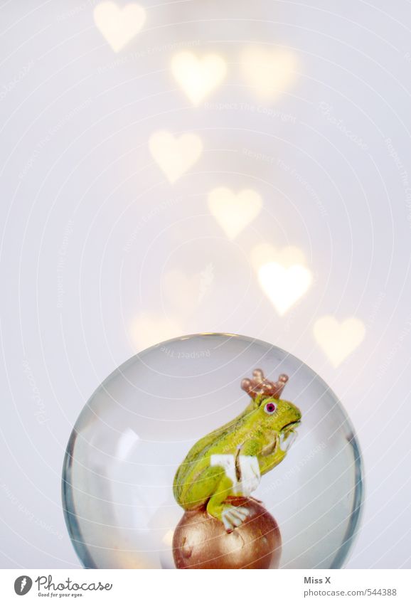 in love Valentinstag Frosch 1 Tier Herz Küssen leuchten Liebe schleimig Gefühle Stimmung Verliebtheit Romantik Froschkönig Prinz Traumprinz Krone herzförmig