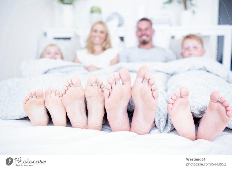 Füße einer im Bett liegenden Familie Fuß Fuss liegt entspannt entspanntheit relaxt lächeln Familien Betten Mensch Menschen Leute People Personen Entspannung