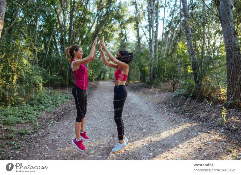 Zwei aktive Frauen im Wald beim High Fiving Freundinnen Trainieren Übung Üben Übungen abklatschen High Five weiblich Forst Wälder Freunde Freundschaft