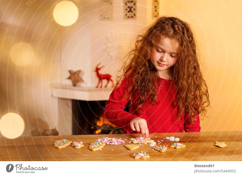 Kleines Mädchen schmückt Weihnachtsplätzchen mit Hunderten und Tausenden Keks Kekse Plaetzchen Plätzchen backen verzieren Weihnachten Christmas X-Mas X mas