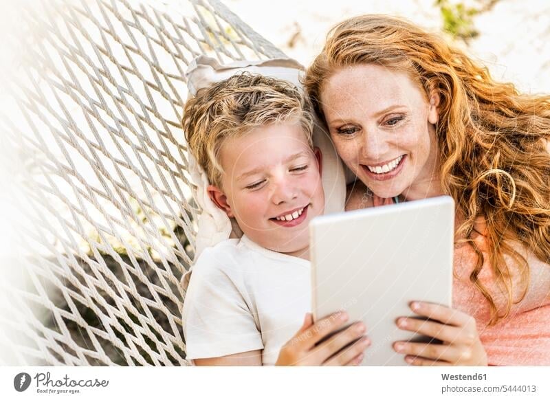 Glückliche Mutter und Sohn liegen in der Hängematte und schauen auf das Tablett Hängematten Tablet Computer Tablet-PC Tablet PC iPad Tablet-Computer Mami Mutti