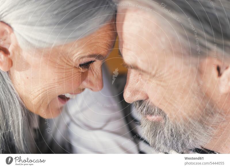 Porträt eines liebevollen älteren Ehepaares Senioren alte Paar Pärchen Paare Partnerschaft glücklich Glück glücklich sein glücklichsein Gemeinsam Zusammen