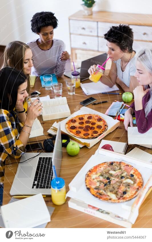 Gruppe junger Frauen, die zu Hause studieren und Pizza essen Pizzen weiblich Zuhause daheim Studentin Studentinnen Hochschülerin Hochschülerinnen