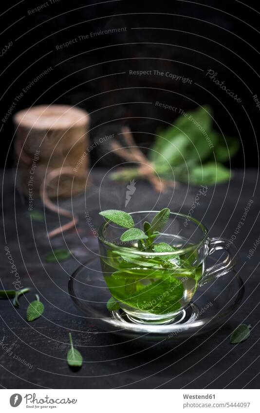 Teeglas mit dampfendem Salbeitee mit Salbeiblättern Teeglaeser Teegläser Dampf Teetasse Teetassen heiß heiss Hitze Blatt Blaetter Blätter Bio