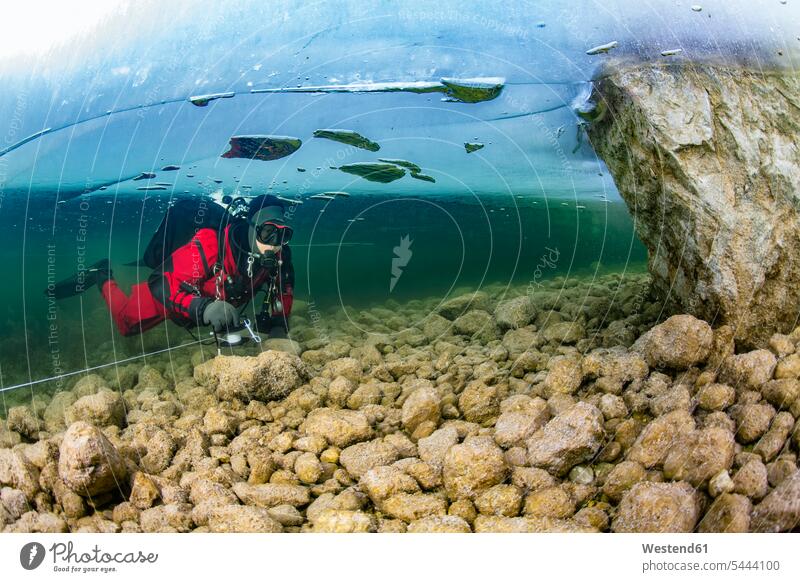 Österreich, Steiermark, Grundlsee, Taucher unter Eisscholle Tauchen Wasser Unterwasser unter Wasser Unterwasseraufnahme Unterwasserfoto Wassersport Sport Ice