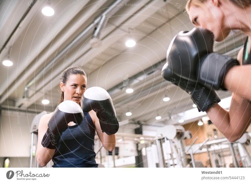 Junge Frauen boxen im Fitnessstudio Boxerin Boxerinnen kämpfen kaempfen Trainer Uebungsleiter Übungsleiter trainieren Training Frauenboxen Wettkampf Wettkaempfe