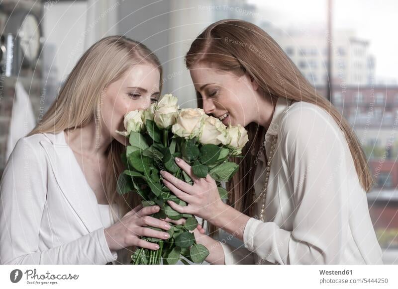 Zwei junge Frauen riechen zu Hause an Rosen Freundinnen lächeln Zuhause daheim Blumenstrauß Bouquet Blumenstrauss Blumensträusse Blumensträuße Rosa Freunde