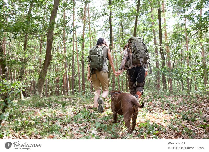 Paar mit Rucksäcken und Hund auf einer Wanderung im Wald Hunde Forst Wälder wandern Pärchen Paare Partnerschaft Haustier Haustiere Tier Tierwelt Tiere Mensch