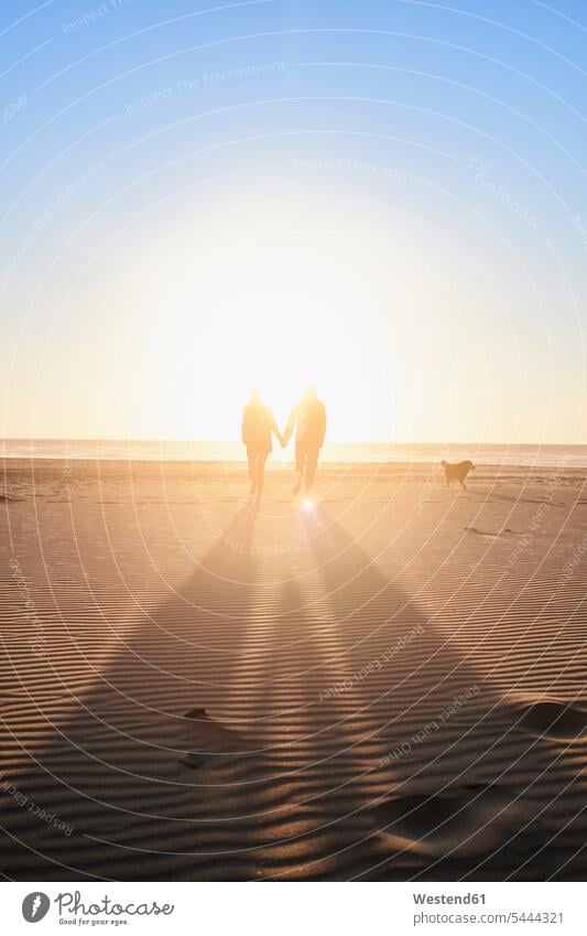 Portugal, Algarve, Ehepaar mit Hund, das bei Sonnenuntergang am Strand spazieren geht Beach Straende Strände Beaches Paar Pärchen Paare Partnerschaft Mensch