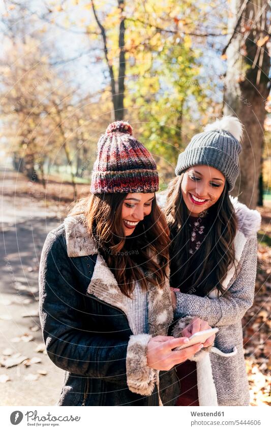 Zwei glückliche Frauen mit Handy im Herbstwald Freundinnen Mobiltelefon Handies Handys Mobiltelefone weiblich Glück glücklich sein glücklichsein schön Wald
