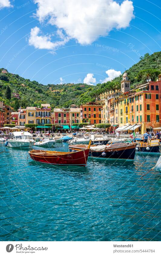 Italien, Ligurien, Golfo del Tigullio, Portofino Riviera Reiseziel Reiseziele Urlaubsziel Baum Bäume Baeume Meer Meere Boot Boote Stadtansicht Urban Stadtbilder