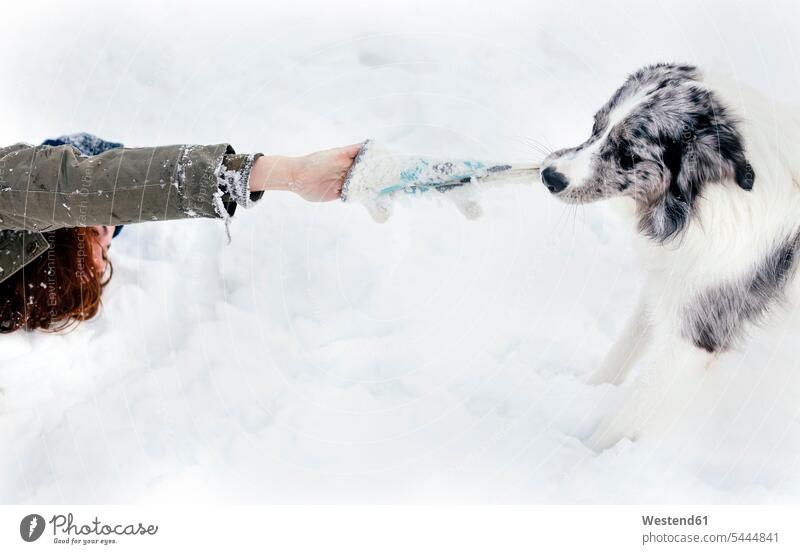 Junge Frau spielt mit ihrem Border Collie im Schnee Hund Hunde Winter winterlich Winterzeit weiblich Frauen spielen Spaß Spass Späße spassig Spässe spaßig