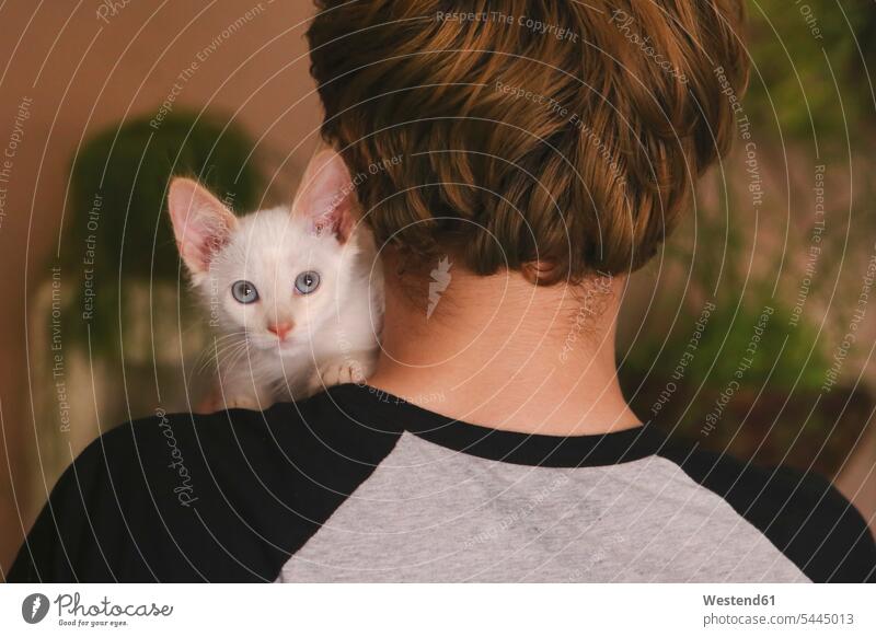 Rückenansicht eines Mannes mit Kätzchen auf der Schulter Männer männlich Katze Katzen Schultern Erwachsener erwachsen Mensch Menschen Leute People Personen