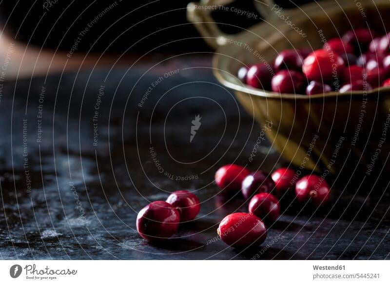 Cranberries in einer Schale Cranberry Kranbeere Kranbeeren Schüssel Schalen Schälchen Schüsseln Studioaufnahme Studioaufnahmen Gesunde Ernährung Ernaehrung