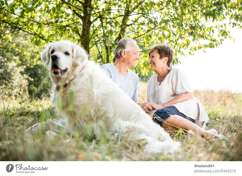 Glückliches älteres Ehepaar mit Hund auf der Wiese Hunde lächeln Wiesen Paar Pärchen Paare Partnerschaft Haustier Haustiere Tier Tierwelt Tiere Mensch Menschen