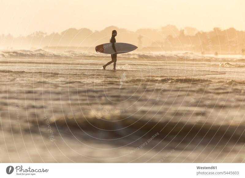 Indonesien, Bali, Surfer, der bei Sonnenuntergang sein Surfbrett ins Meer trägt Meere Wellenreiter Mann Männer männlich Surfbretter surfboard surfboards