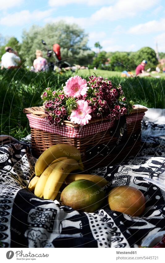 Gesundes Picknick in einem Park im Sommer England Gesunde Ernährung Ernaehrung Gesunde Ernaehrung Gesundheit gesund Decke Decken vegetarisch