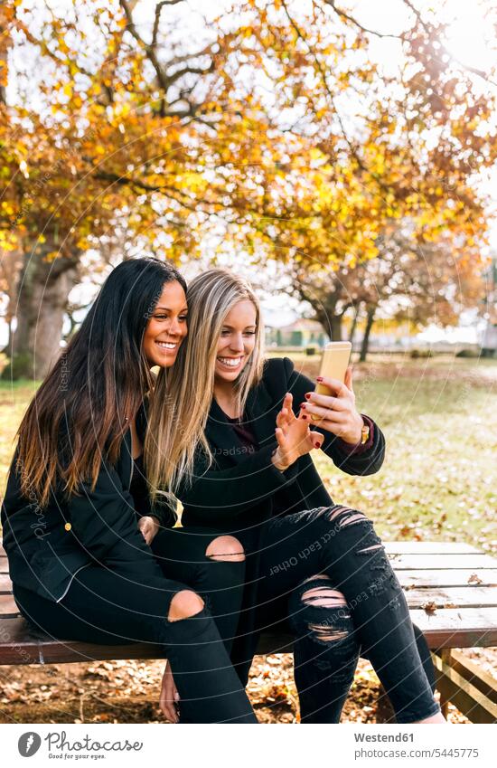 Zwei lächelnde junge Frauen auf Parkbank mit Blick auf Handy Parkanlagen Parks weiblich Bank Sitzbänke Bänke Sitzbank Freundinnen Mobiltelefon Handies Handys
