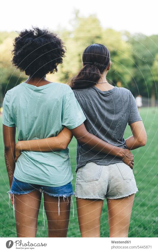 Rückenansicht von zwei Frauen, die Arm in Arm in einem Park stehen Freundinnen Freunde Freundschaft Kameradschaft lesbisch Paar Pärchen Paare Partnerschaft