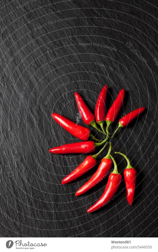 Rote Chili-Schoten auf Schiefer Food and Drink Lebensmittel Essen und Trinken Nahrungsmittel rot rote roter rotes Anordnung Positionierung Anordnungen