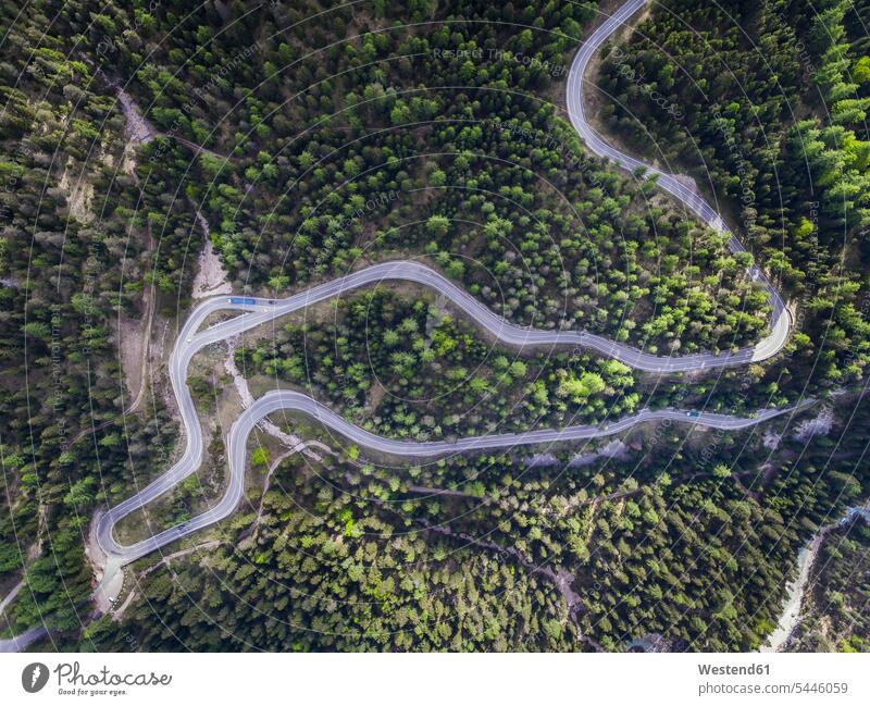 Italien, Südtirol, Dolomiten, Bergstraße bei Malga Ra Stua, Luftaufnahme Schönheit der Natur Schoenheit der Natur Wald Forst Wälder Cortina d'Ampezzo