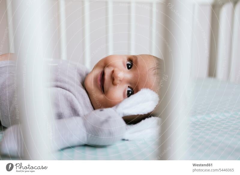 Lächelndes Mädchen liegt mit Spielzeughase im Gitterbett weibliche Babys weibliches Baby weibliche Babies Säuglinge Kind Kinder Mensch Menschen Leute People