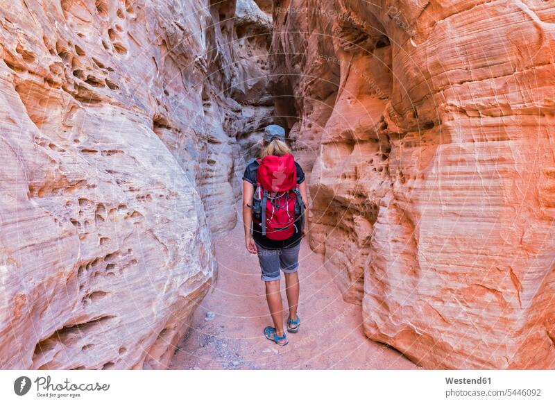 USA, Nevada, Valley of Fire State Park, Sandstein- und Kalksteinfelsen, Tourist in enger Passage gehen gehend geht Erlebnis Erlebnisse reisen Travel verreisen