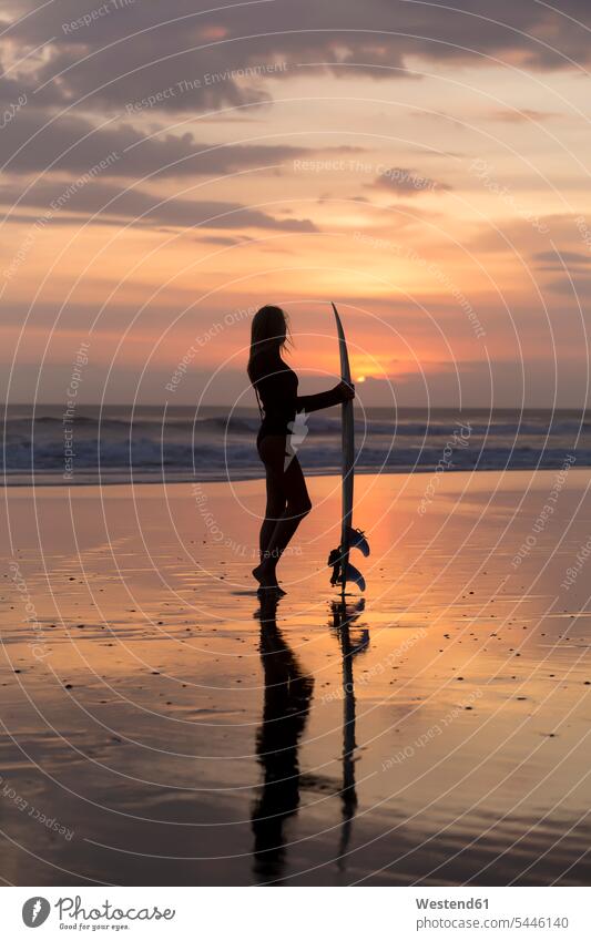 Indonesien, Bali, junge Frau mit Surfbrett bei Sonnenuntergang Freizeit Muße Abend abends Surferin Wellenreiterinnen Surferinnen stehen stehend steht weiblich