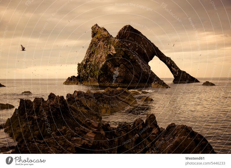 UK, Schottland, Bow Fiddle Rock Felsformation Felsengruppe Gesteinsformation Bizarr grotesk Skurril exzentrisch Aussicht Ausblick Ansicht Überblick Ungewöhnlich